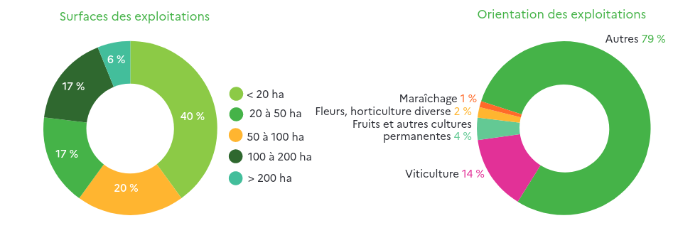 Production maraichère en France